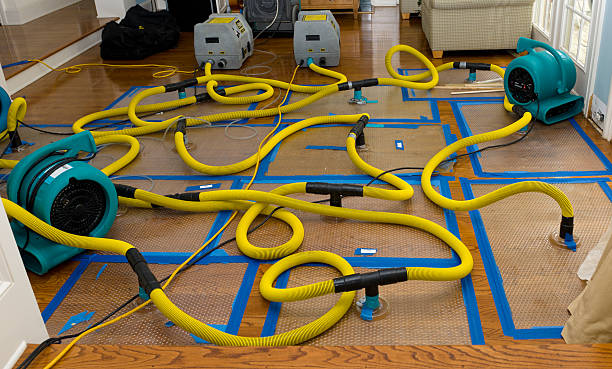 Professional Burst Pipe Water Damage technician working in Ludlow Falls, OH