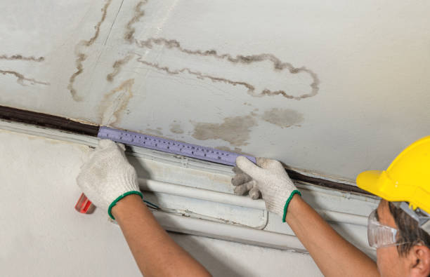 Affordable Water Damage Repair solutions in Ludlow Falls, OH